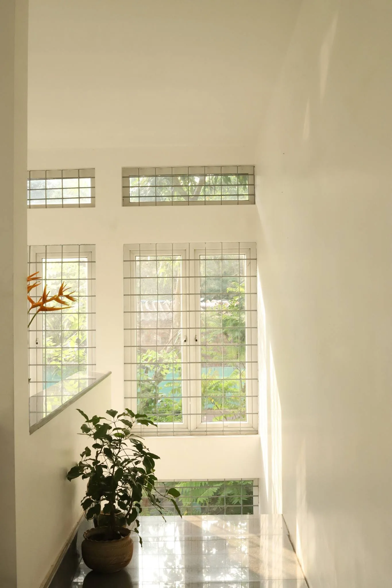 A bright staircase landing with white walls, multiple windows featuring grid-patterned metal security grilles, and a green potted plant.