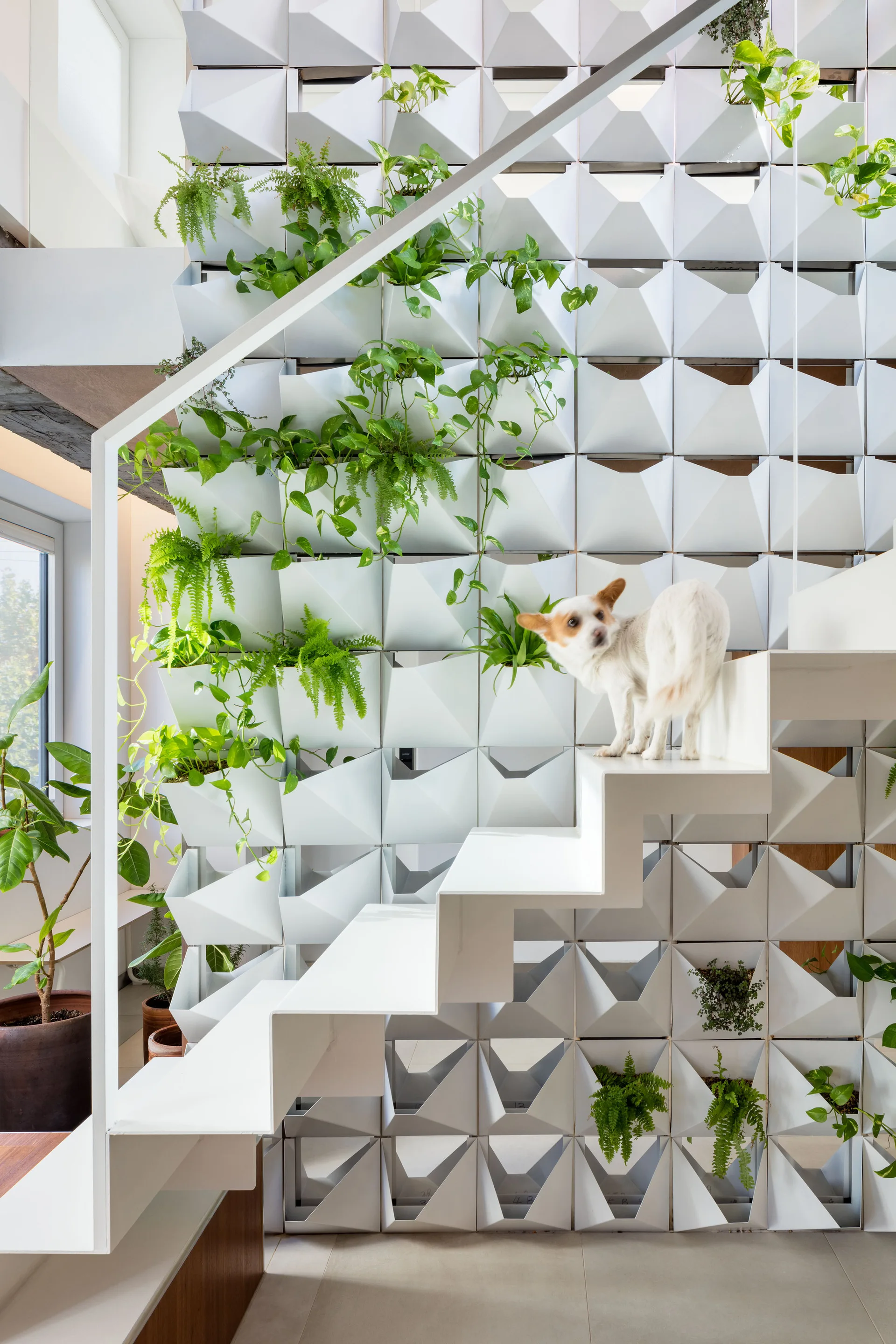 A modern white staircase with open risers stands in front of a tall, geometric modular wall filled with green leafy houseplants.