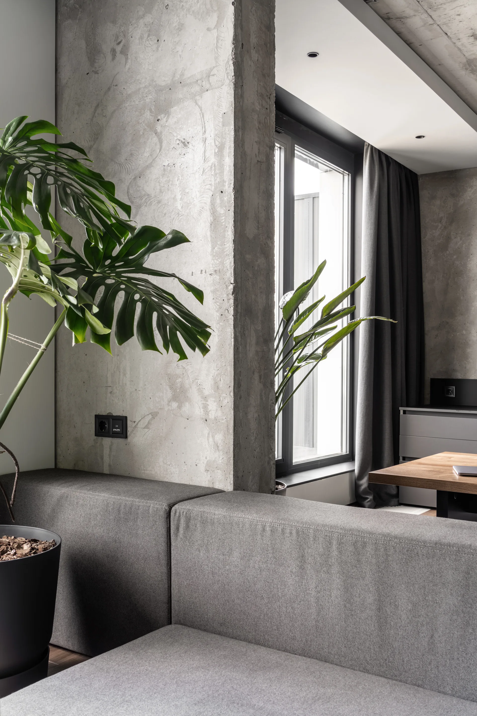 A modern living room features a grey modular sofa resting against an exposed concrete wall beside a large potted monstera plant.