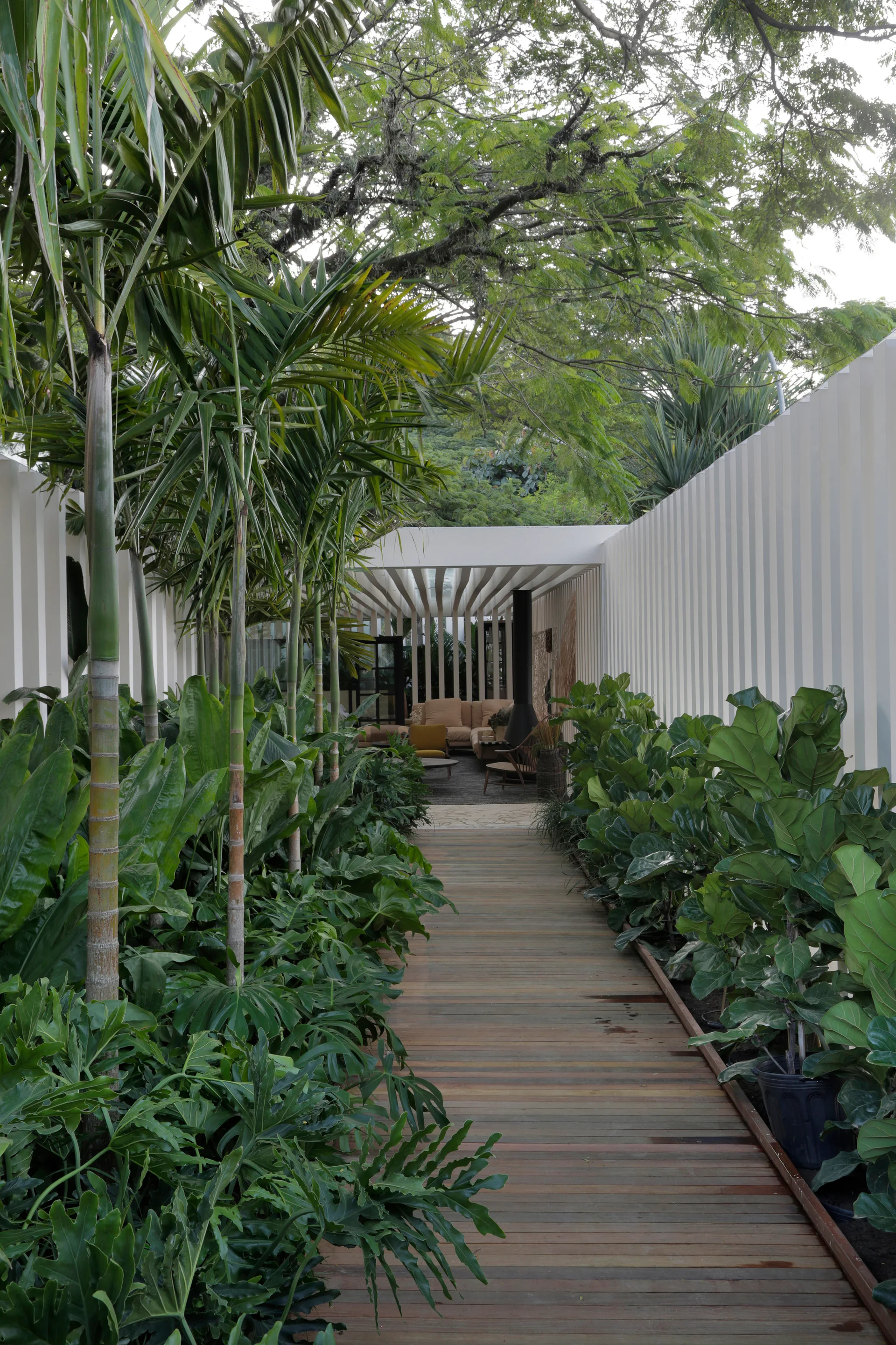 A wooden plank walkway lined with lush green tropical plants leads to an outdoor living area enclosed by vertical white slatted walls.