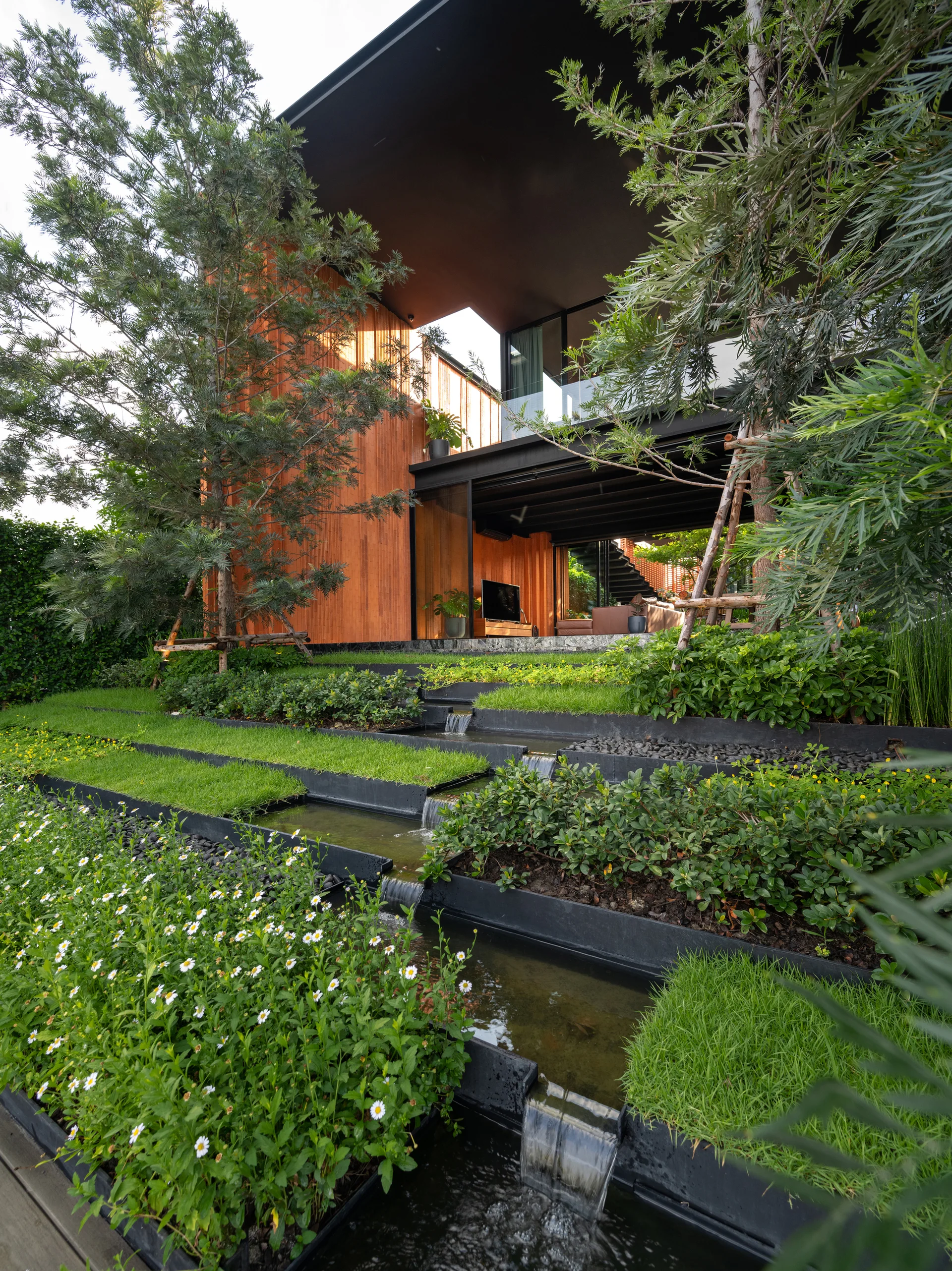 A sloped backyard garden with tiered water steps, green grass, and small white flowers leading up to a contemporary home with wood paneling.