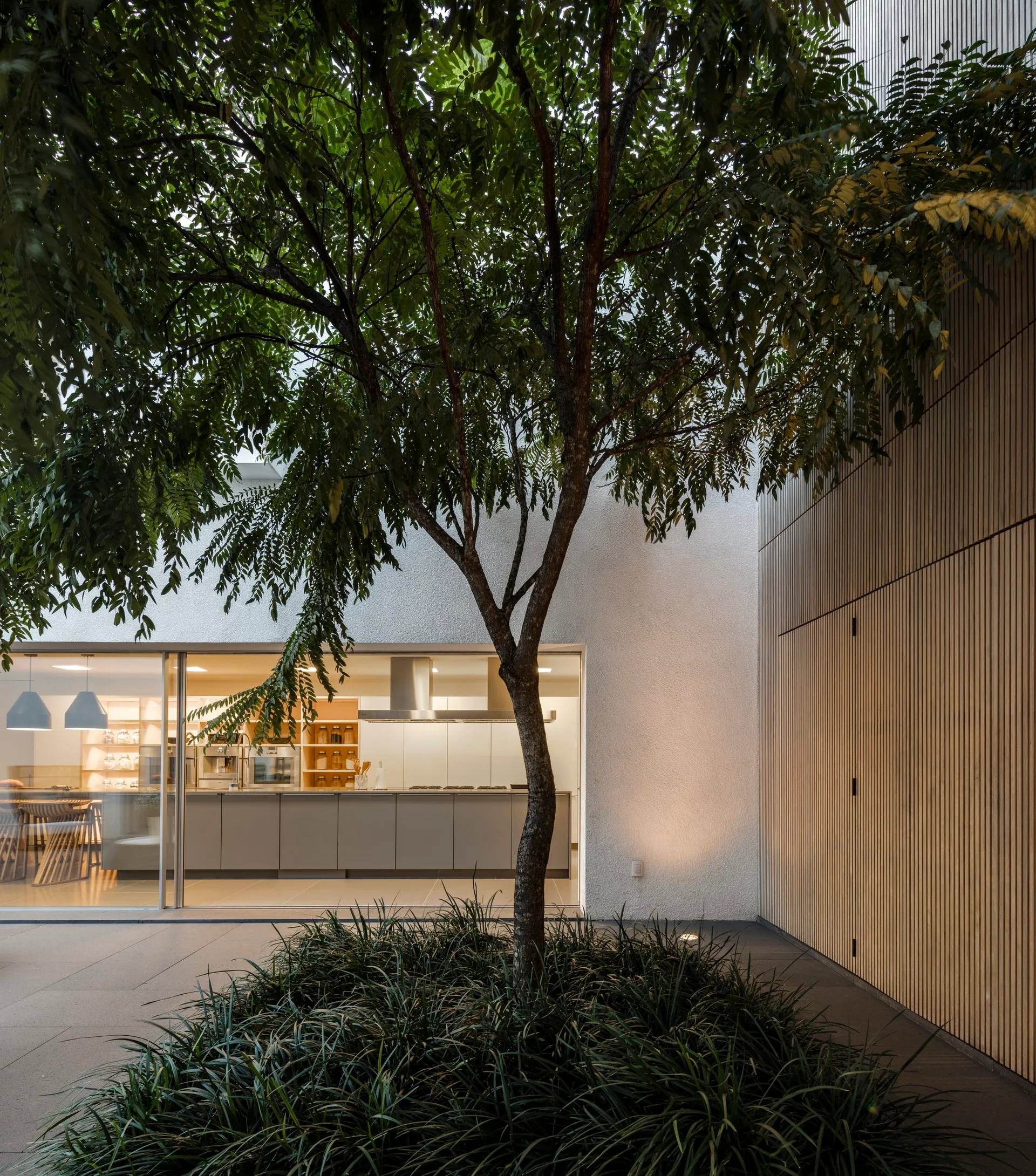 A modern courtyard features a central tree surrounded by low ground cover, flanked by a textured white wall and a vertical slatted wood facade.