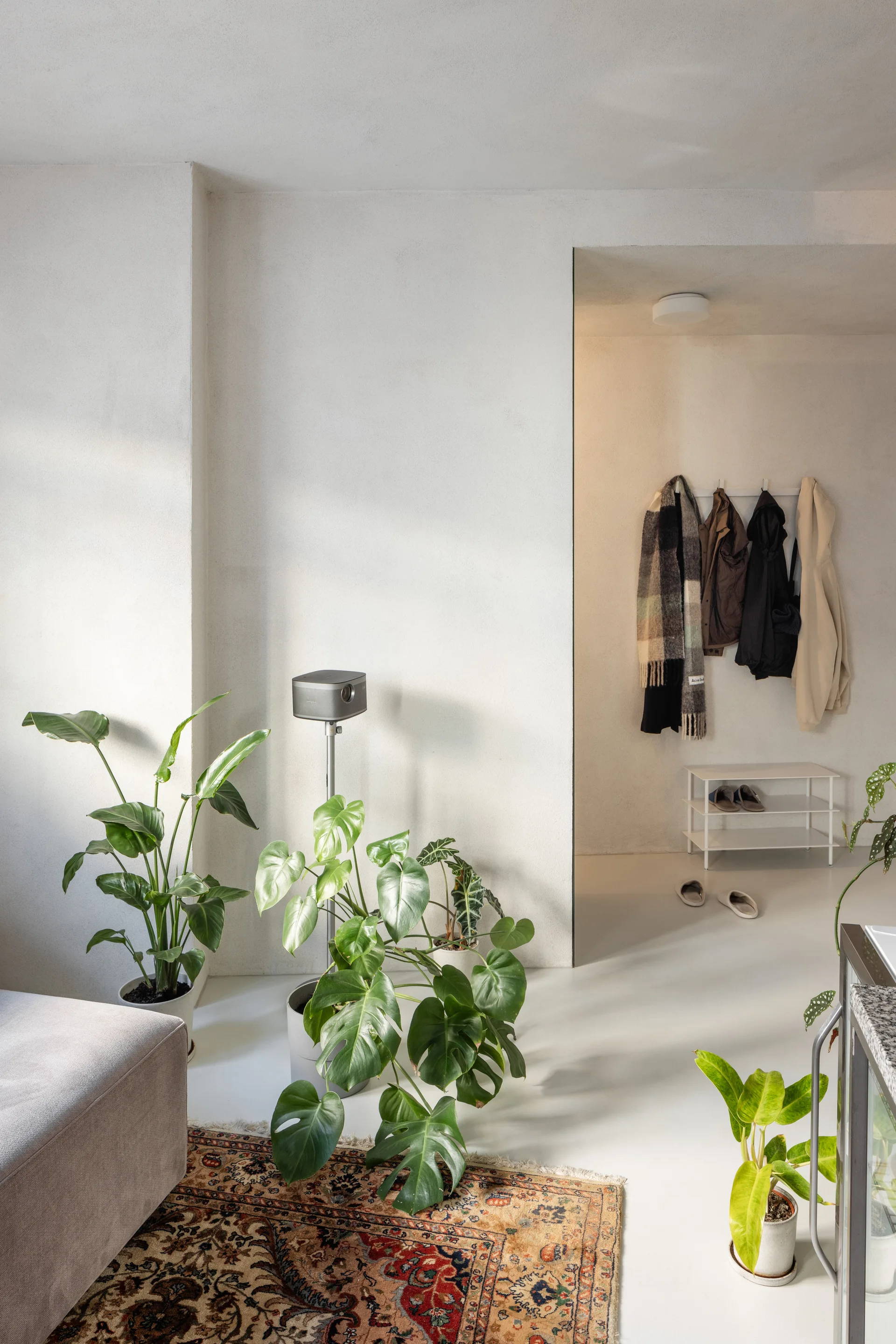 A minimalist white living room features a recessed entryway alcove with coats, large potted house plants, and a traditional patterned rug.