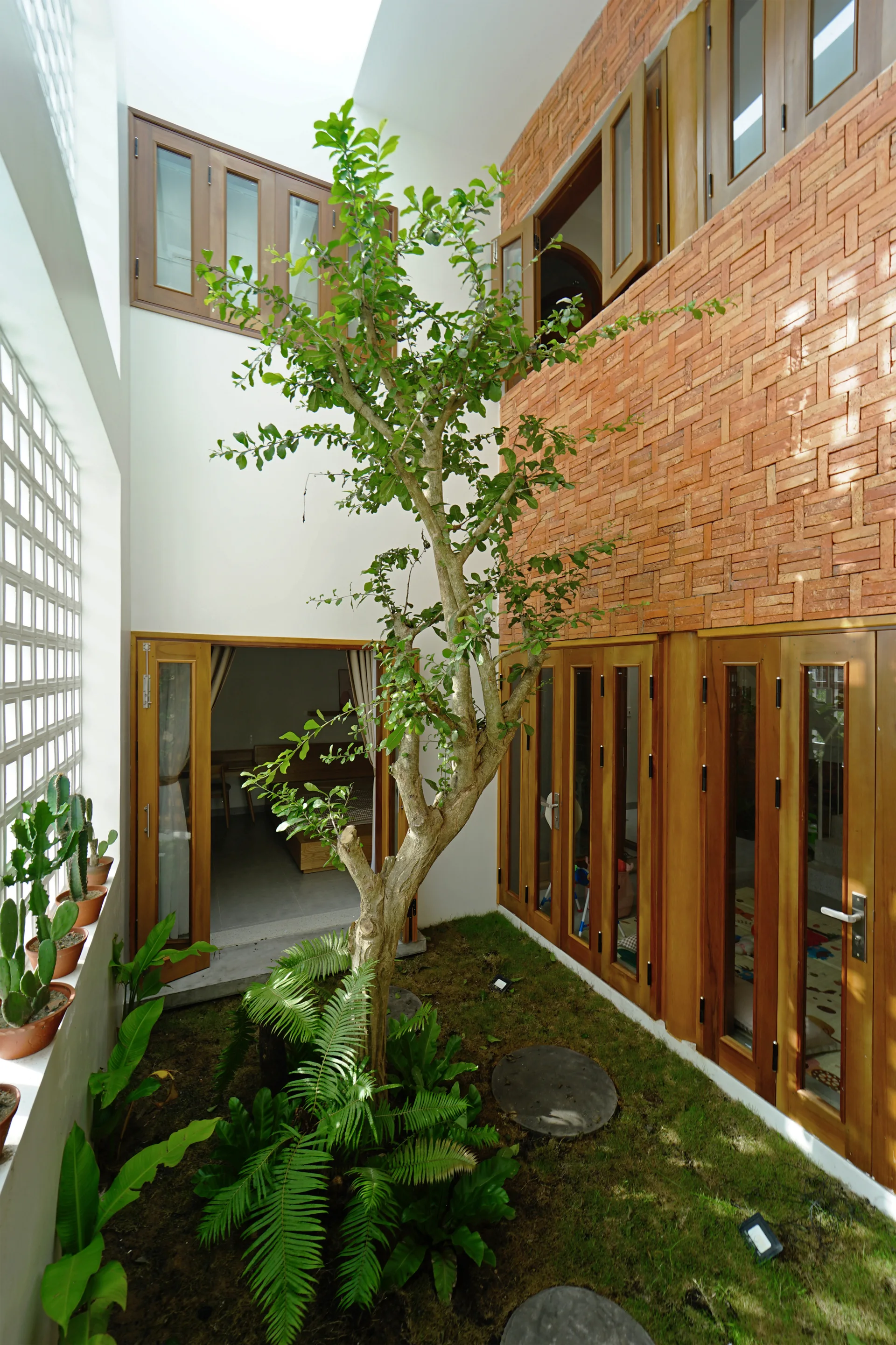 An indoor courtyard features a central growing tree, surrounding ferns, wood-framed glass doors, and a textured basketweave red brick wall.