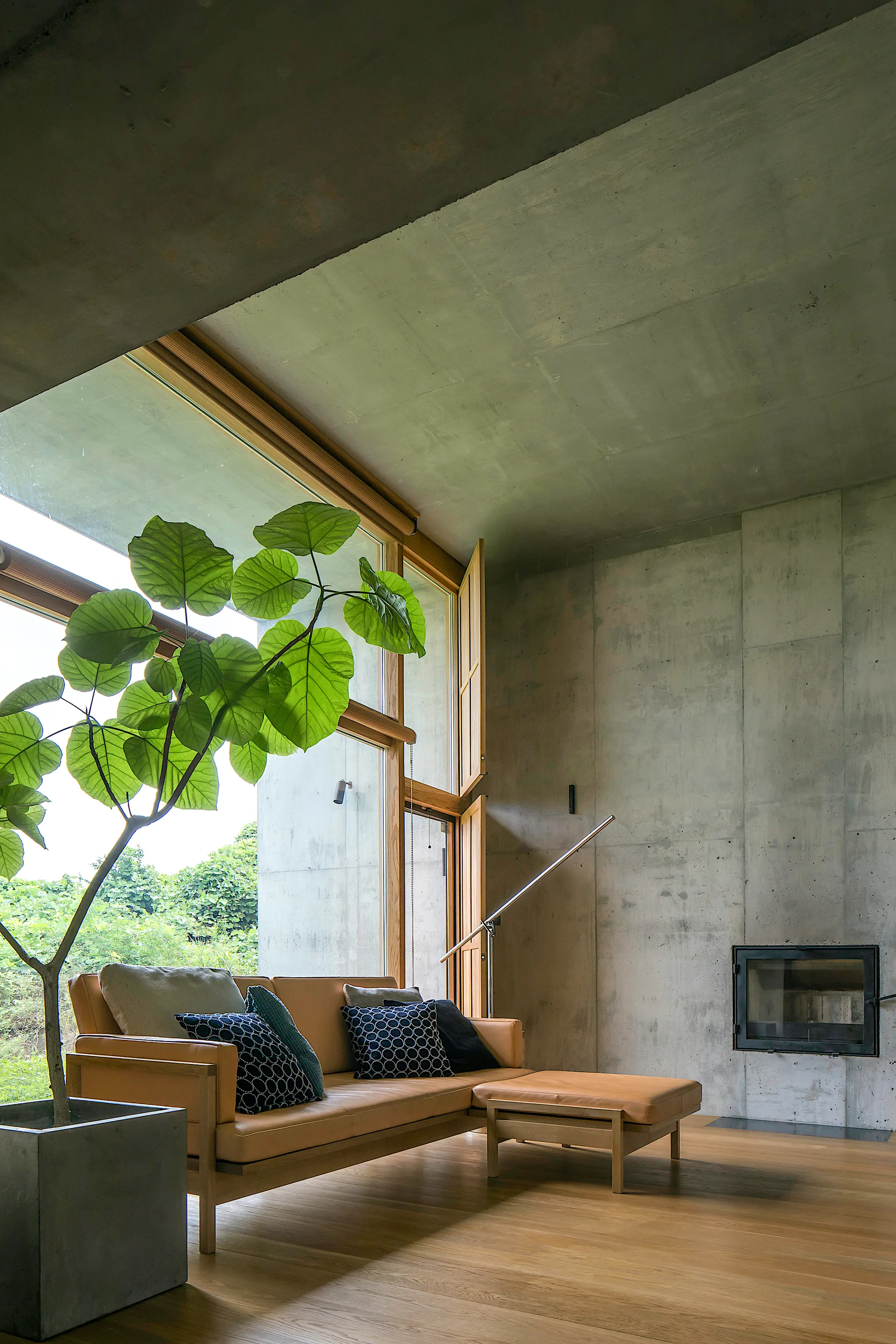 A living room features a tan leather sectional sofa, a large leafy green plant in a concrete planter, and exposed concrete walls with a built-in fireplace.