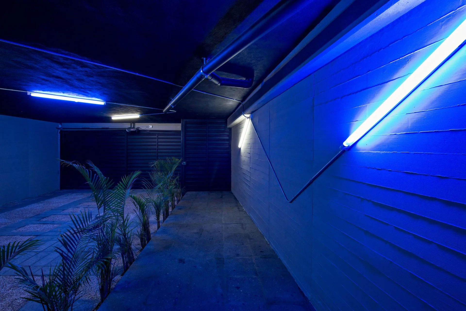 Blue neon tube lights illuminate a dark outdoor corridor with horizontal wood-paneled walls and potted palm plants along a stone walkway.