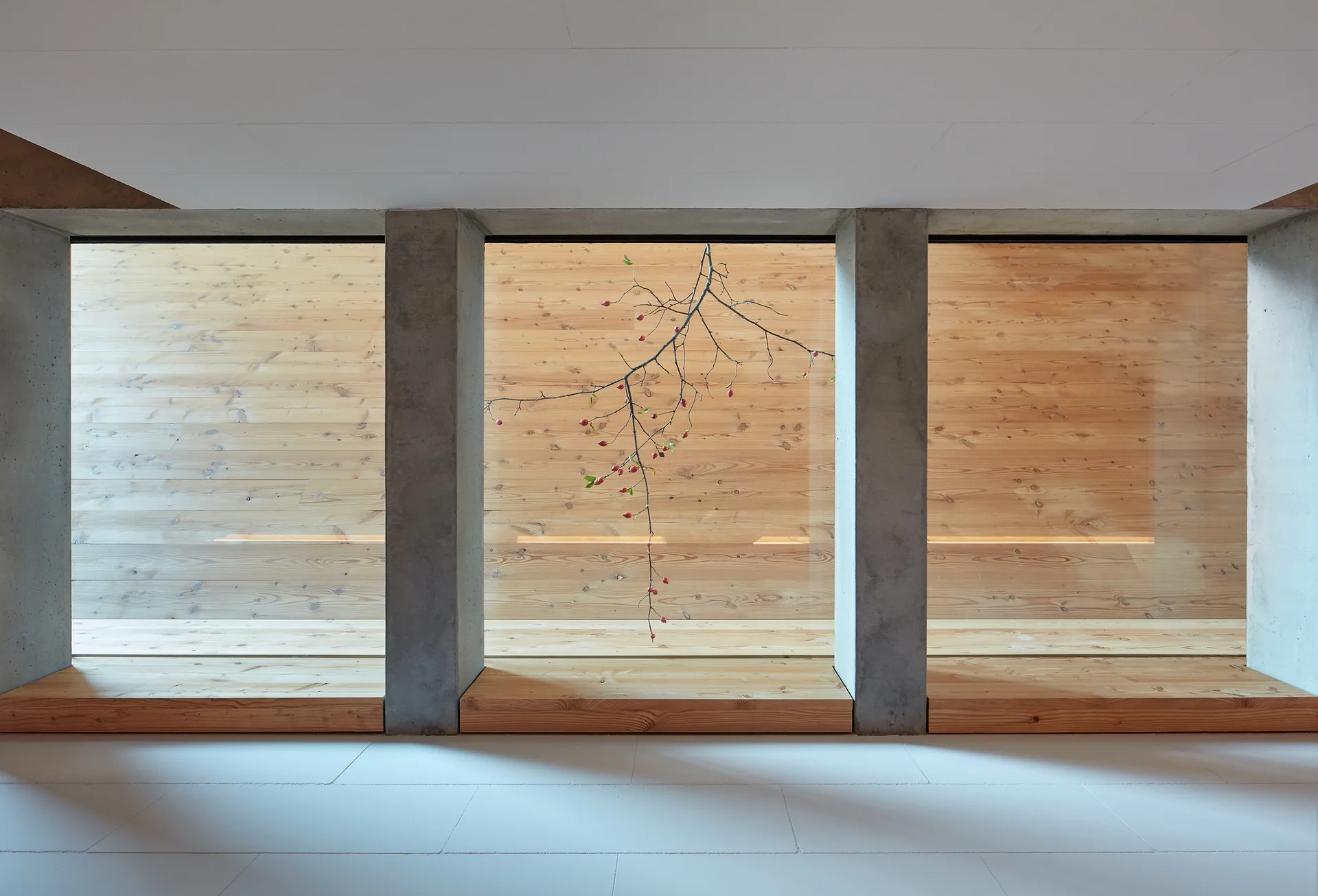 A minimalist room features concrete columns framing large windows with integrated light wood bench platforms and a wood-paneled background wall.