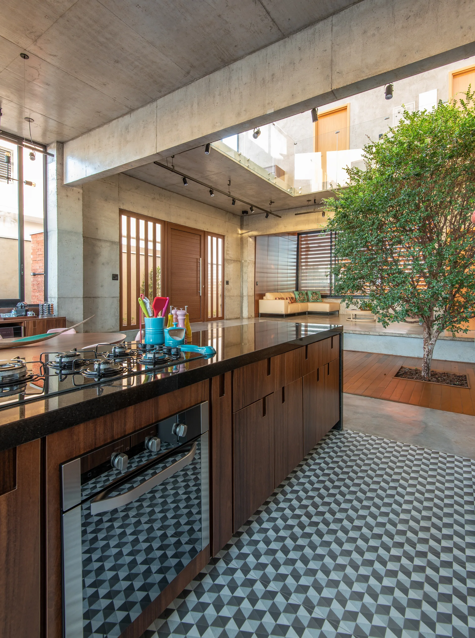 A modern kitchen featuring a dark wood island with a black countertop, geometric patterned floor tiles, and a large indoor tree growing nearby.