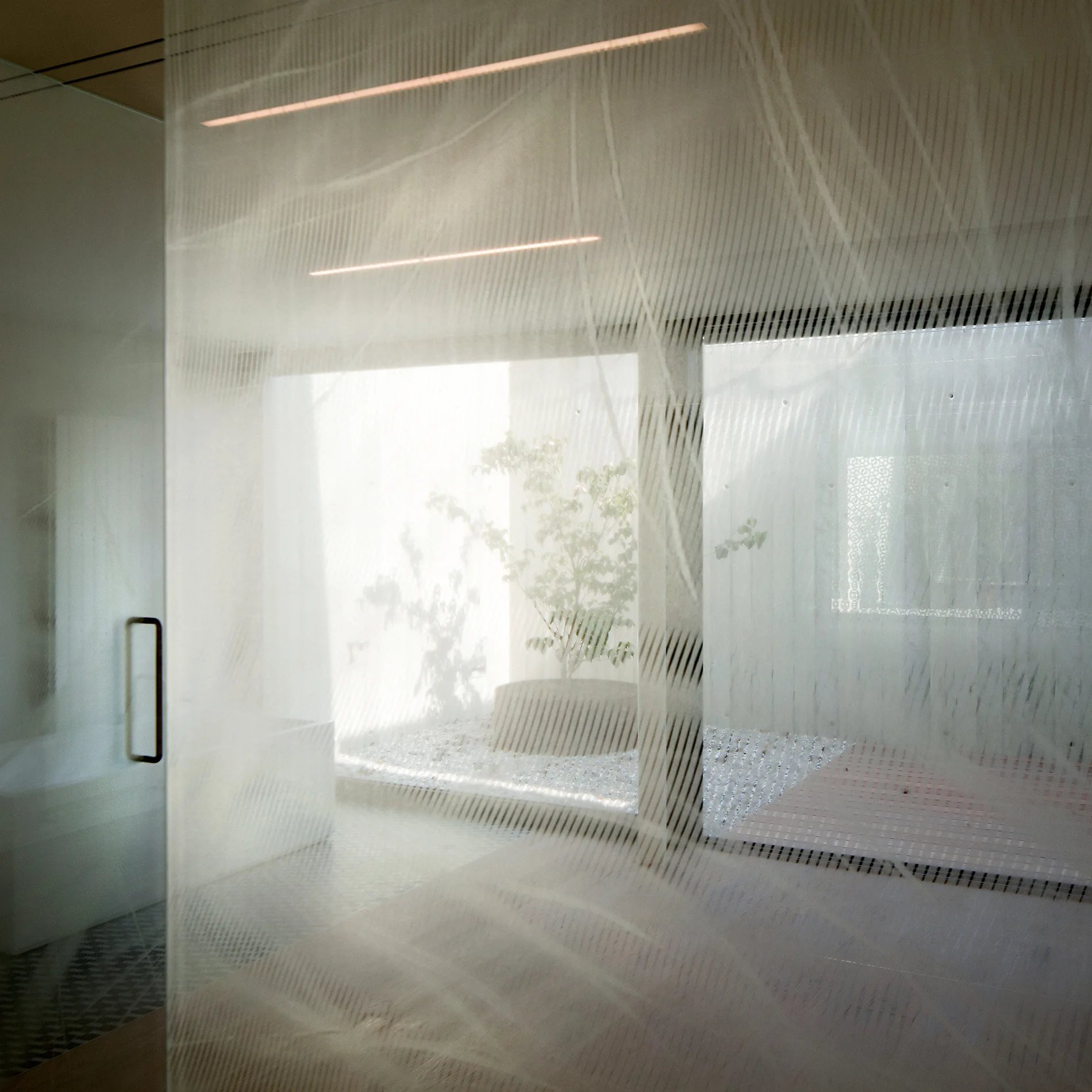 A textured glass partition frames a view of a minimalist bathroom and an adjacent internal courtyard with a potted tree.