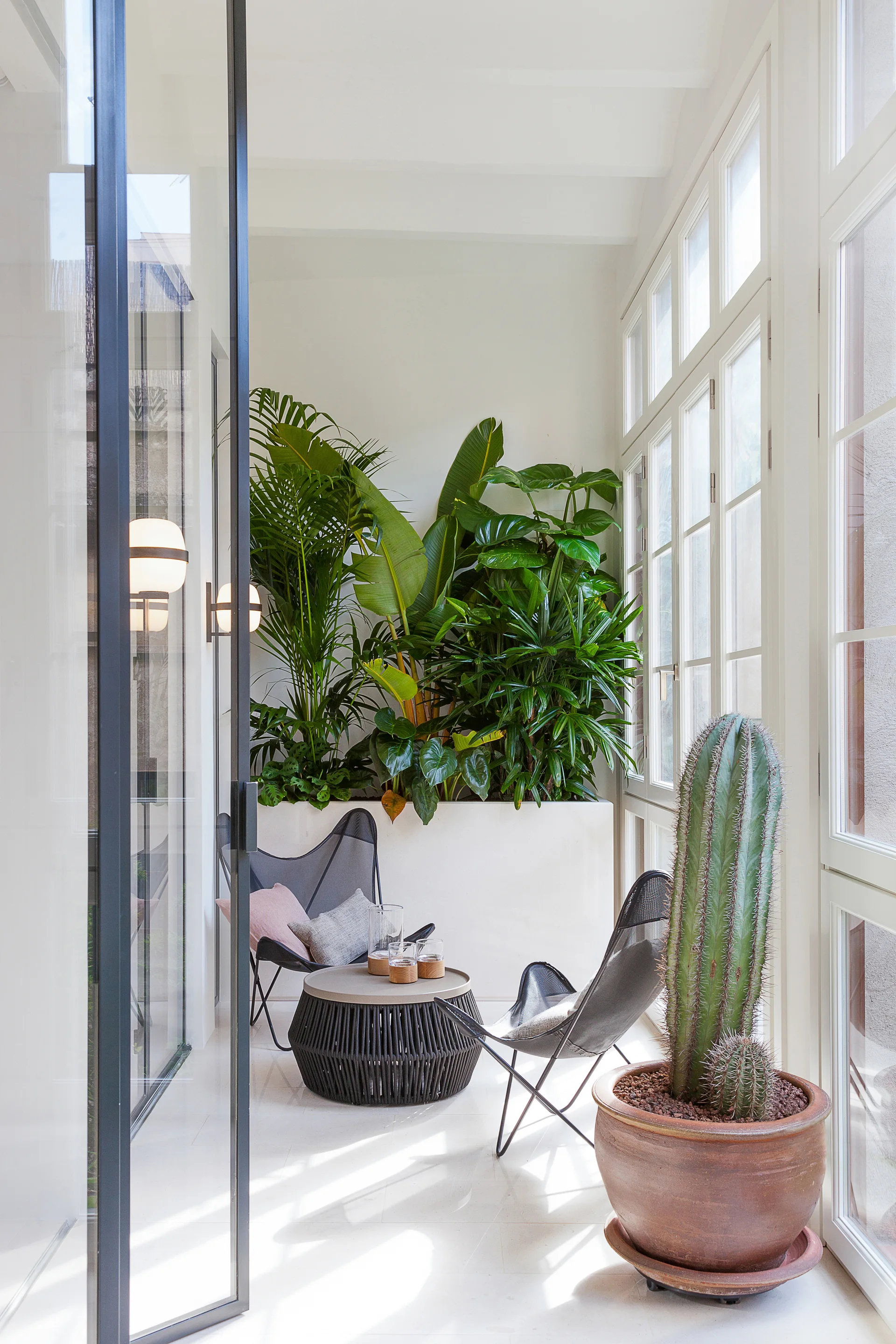 A bright sunroom features black sling chairs, a woven coffee table, a tall potted cactus, and a white built-in planter filled with lush green foliage.
