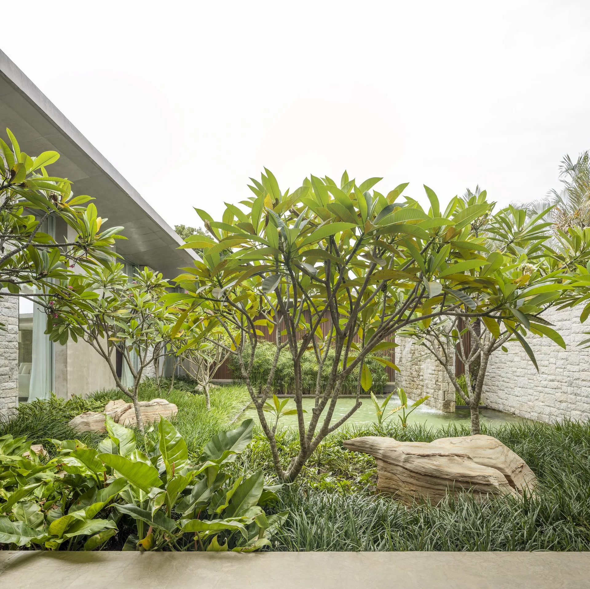 An outdoor tropical courtyard garden with plumeria trees, large stone boulders, a small pond, and a textured stone wall under a concrete overhang.