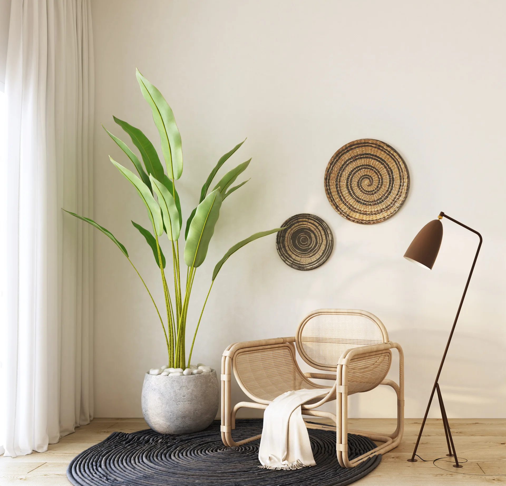 A rattan armchair with a white throw blanket sits on a dark circular rug next to a tall potted plant and a slim floor lamp.