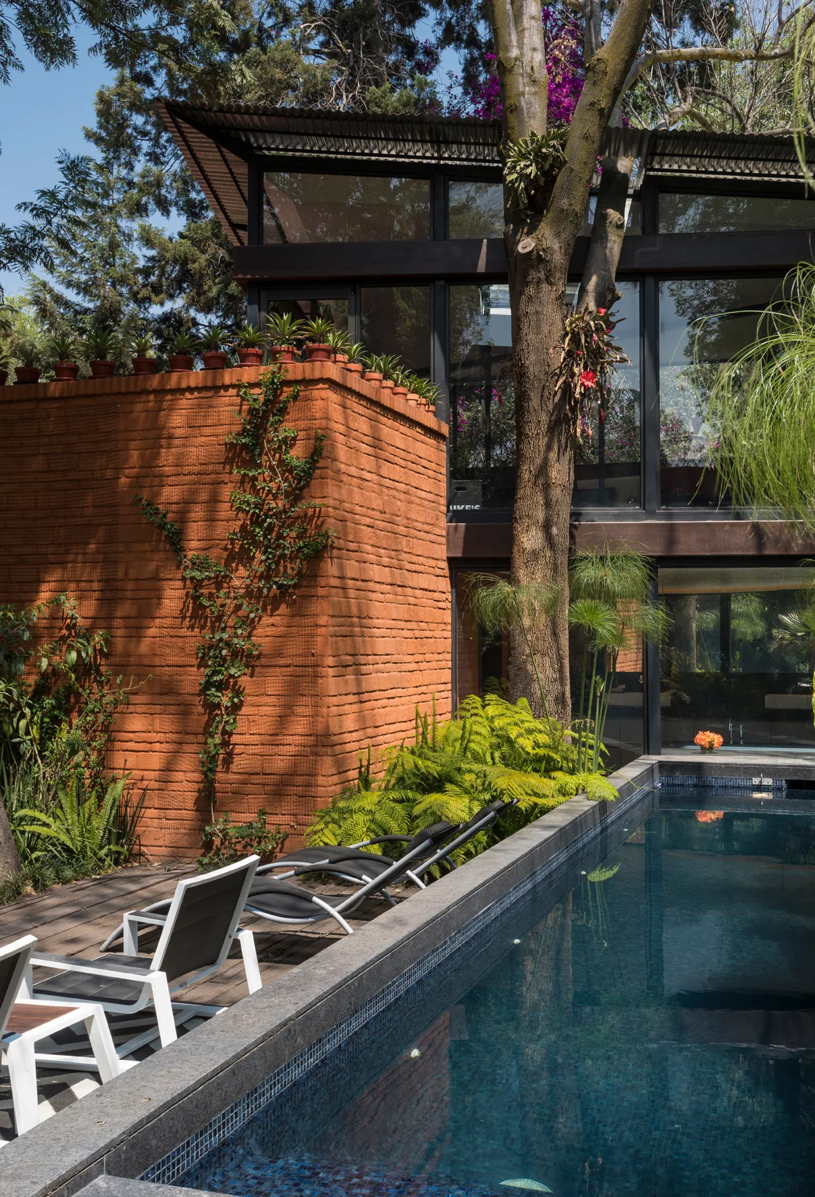 Modern outdoor swimming pool beside a dark wood deck with lounge chairs, featuring a textured terracotta brick wall and a glass-walled house in the background.