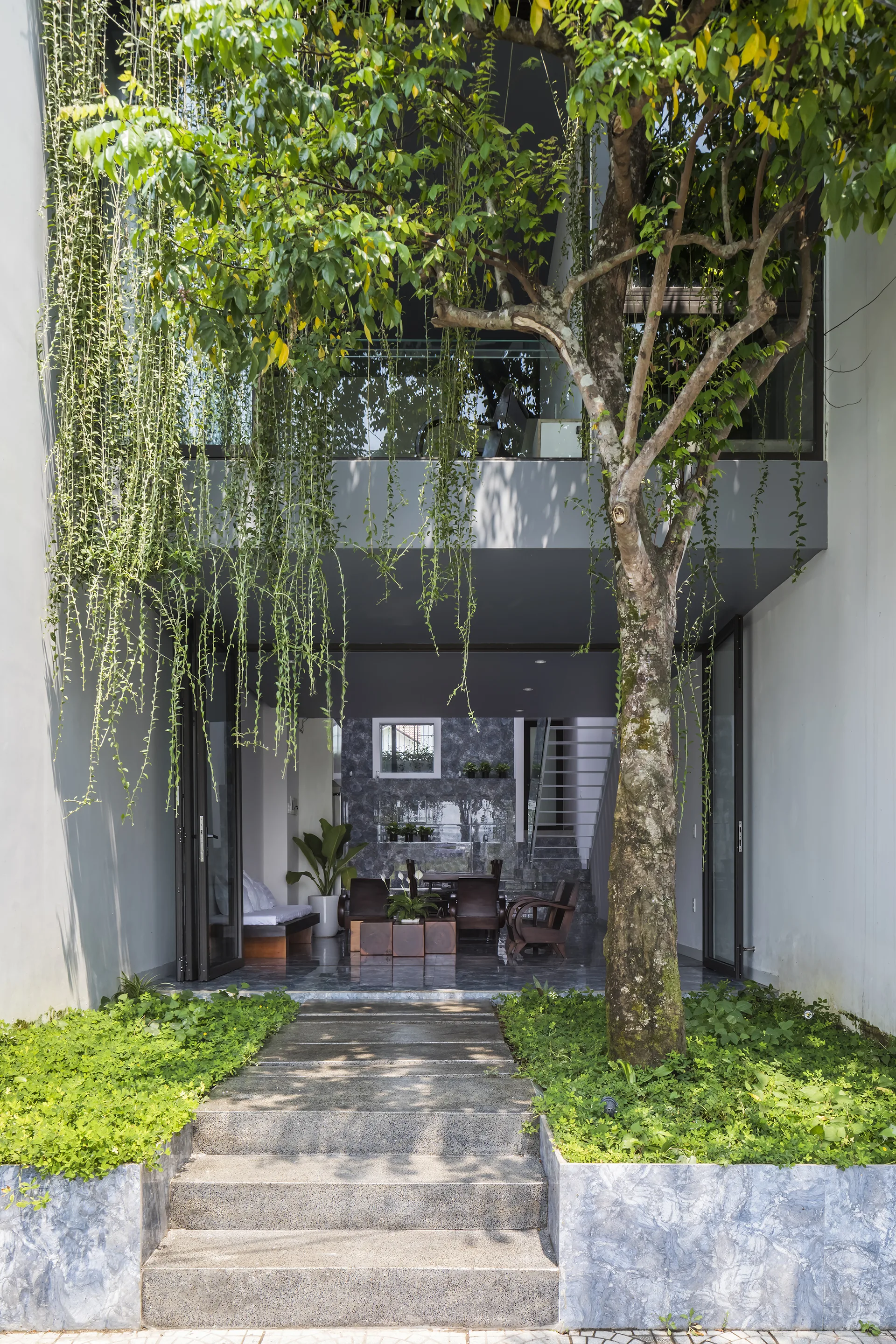 A stone pathway with steps leads past a large tree and hanging green vines toward an open-air modern living room with grey walls.
