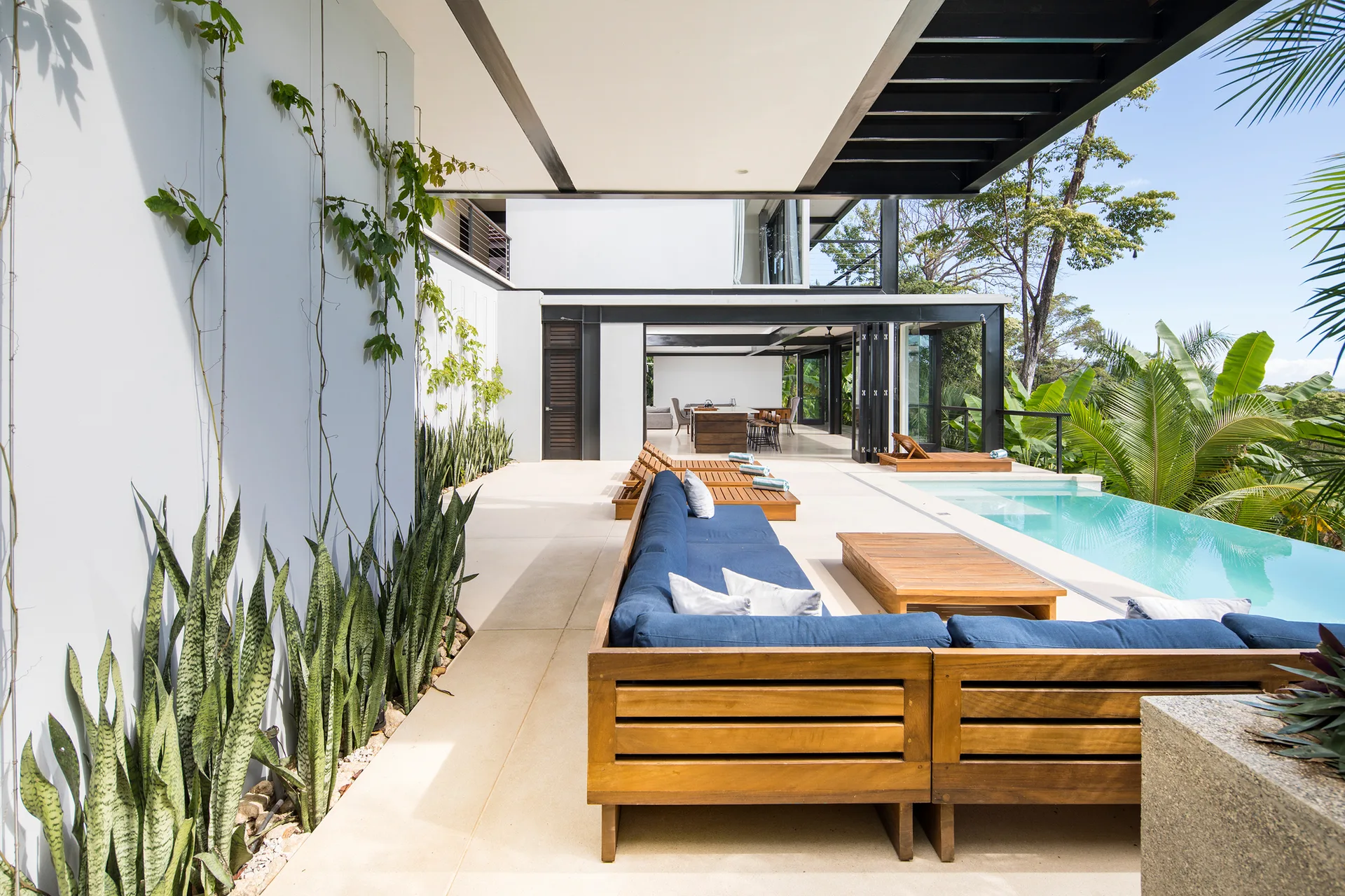 A modern outdoor patio featuring a wooden sectional sofa with blue cushions, wooden lounge chairs, a swimming pool, and snake plants along a white wall.