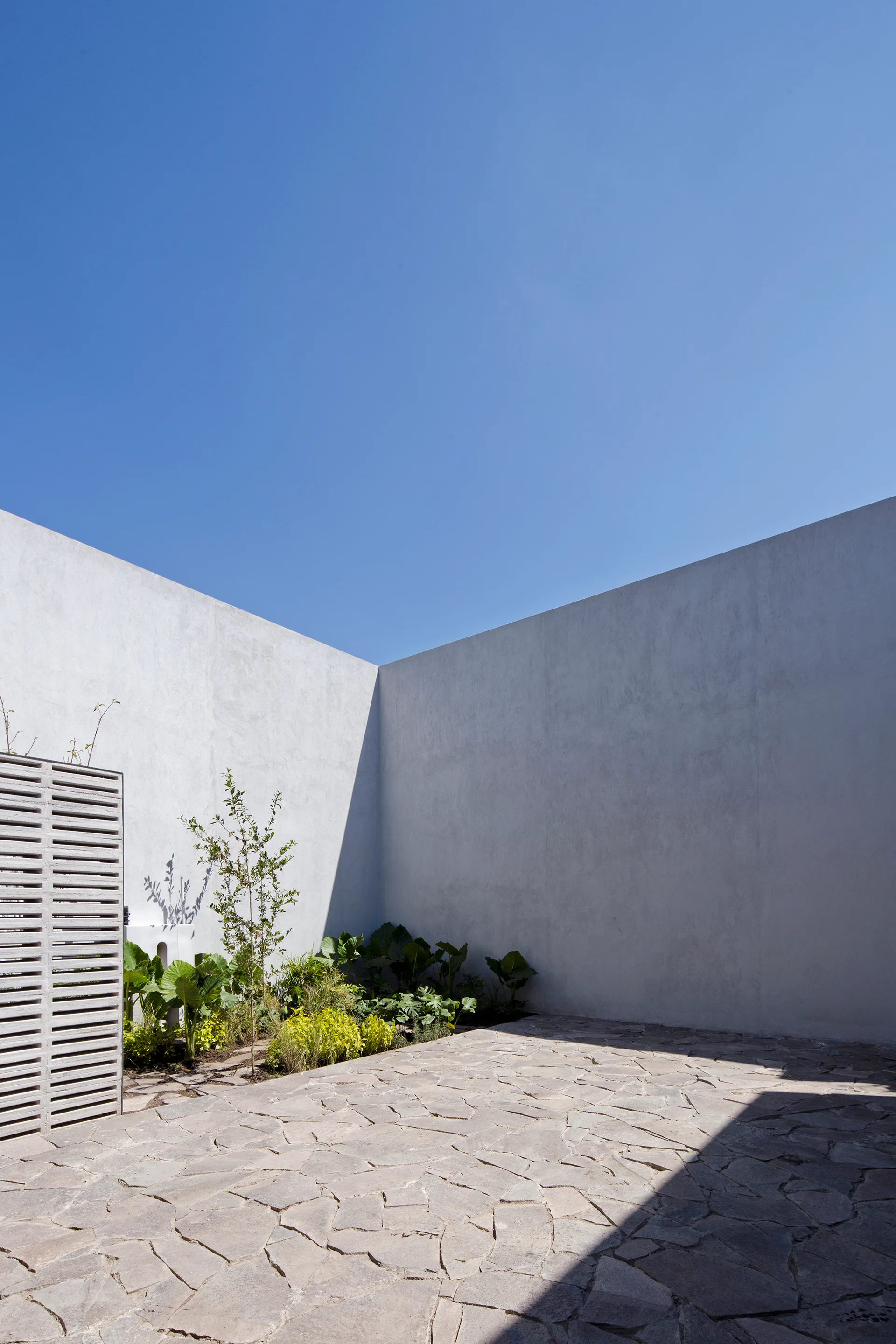 A minimalist outdoor courtyard features tall white plaster walls, irregular stone paving, and a small patch of green plants under a clear blue sky.
