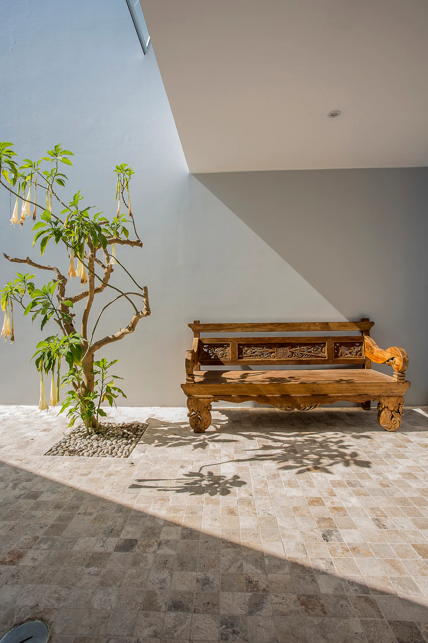 An ornate carved wooden bench sits against a gray wall on a stone-tiled patio next to a small tree planted in a square gravel bed.