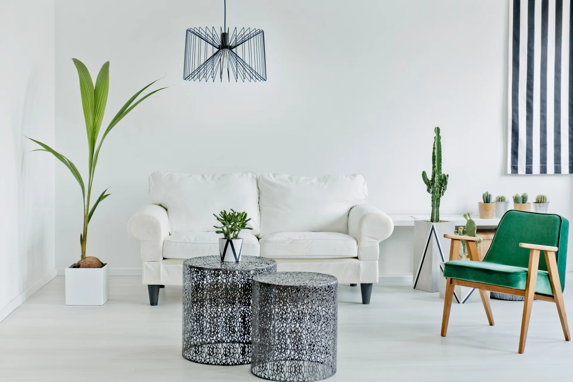 A minimalist living room features a white sofa, a green velvet accent chair, two perforated metal drum tables, and various potted plants.