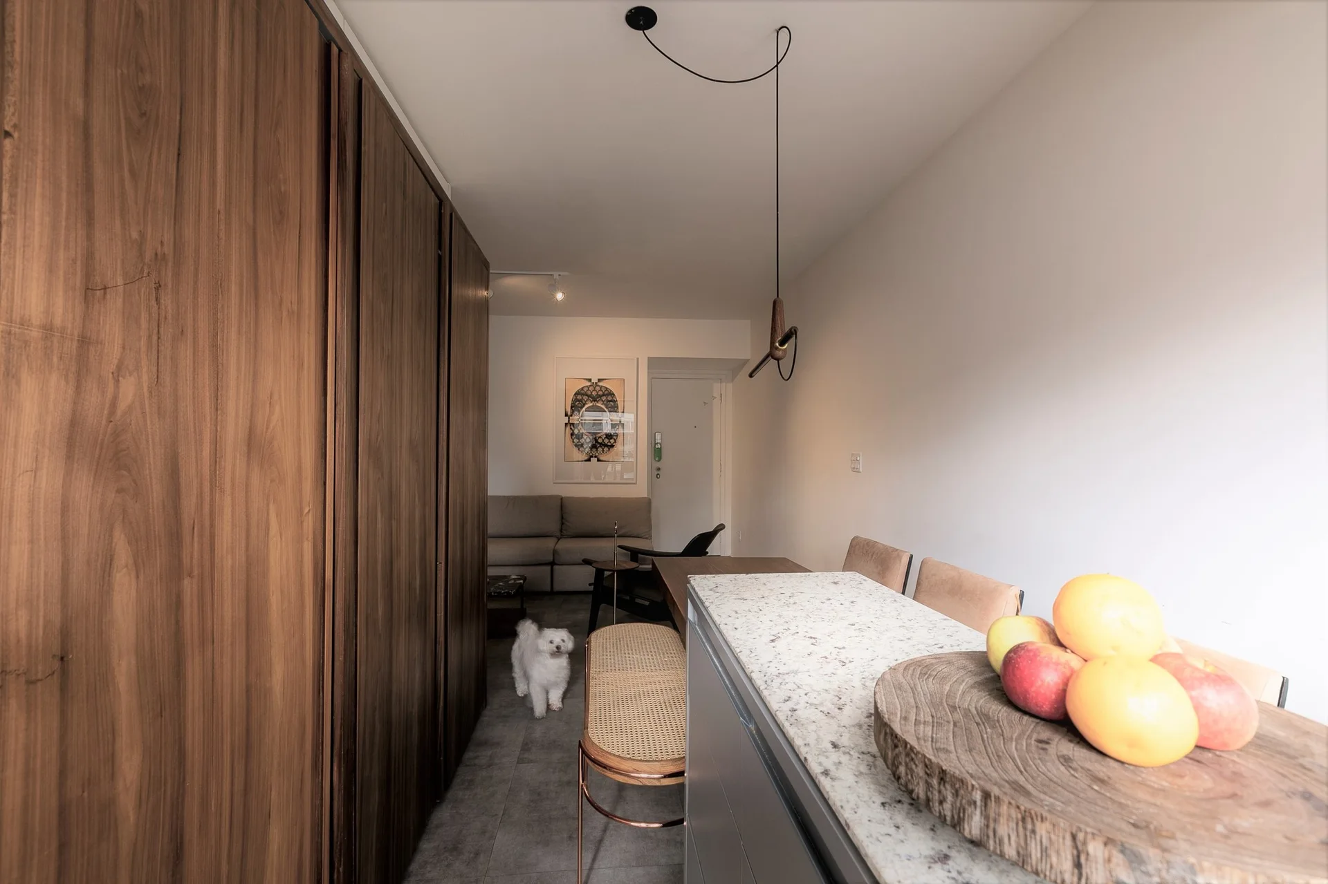 A modern apartment interior features tall wood-grain cabinets opposite a speckled stone counter with a rattan bench and a small white dog.