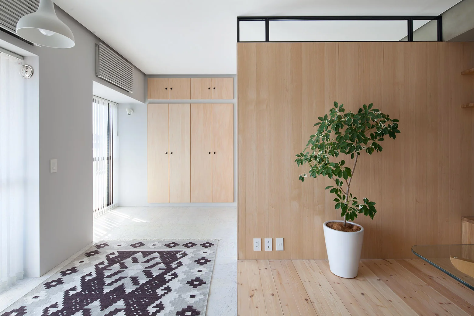 A minimalist room featuring a light wood partition wall, matching built-in closets, a potted plant, and a geometric patterned rug.
