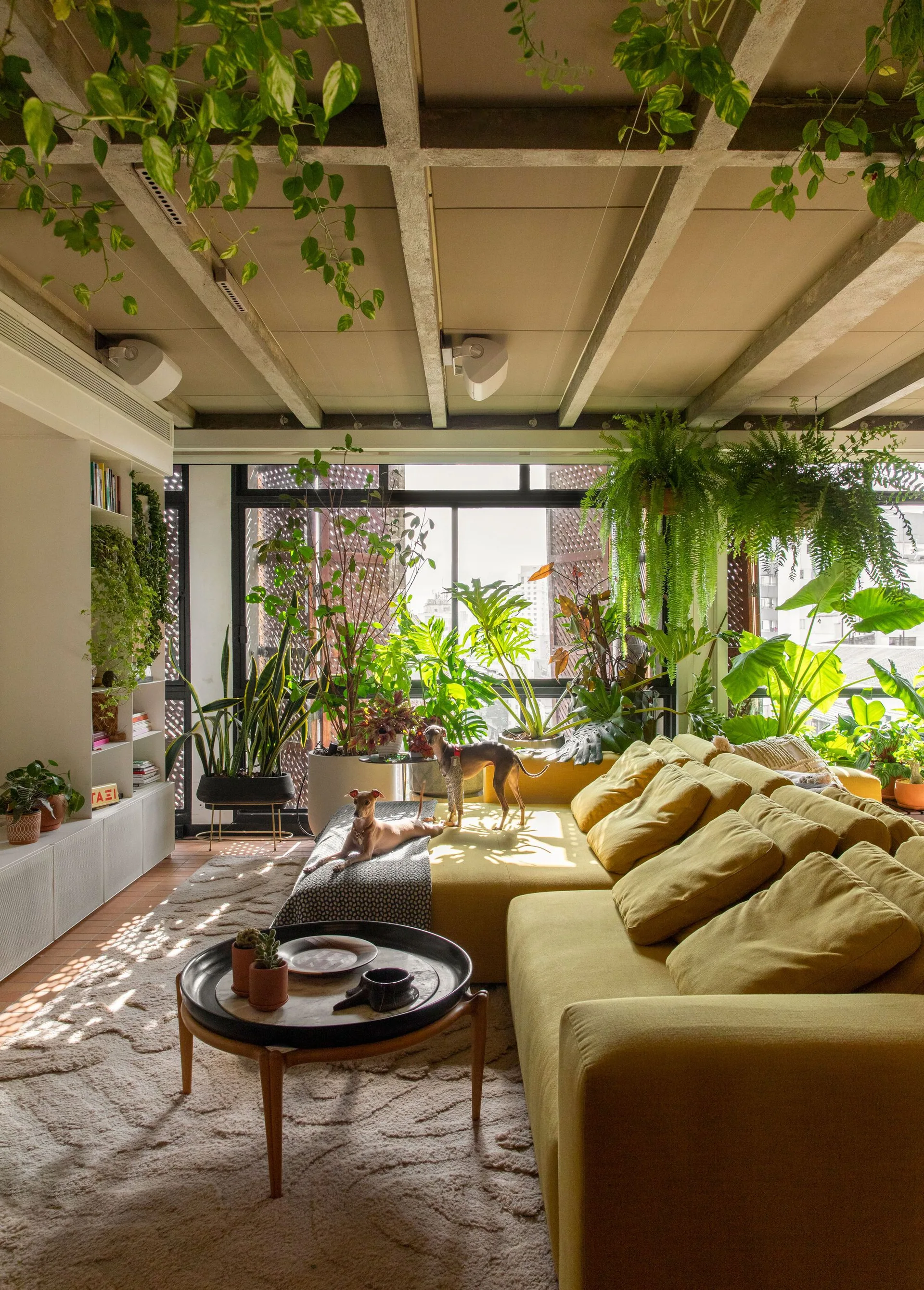 A sunlit living room features a yellow sectional sofa, a textured rug, and a dense collection of indoor plants beneath an exposed concrete grid ceiling.