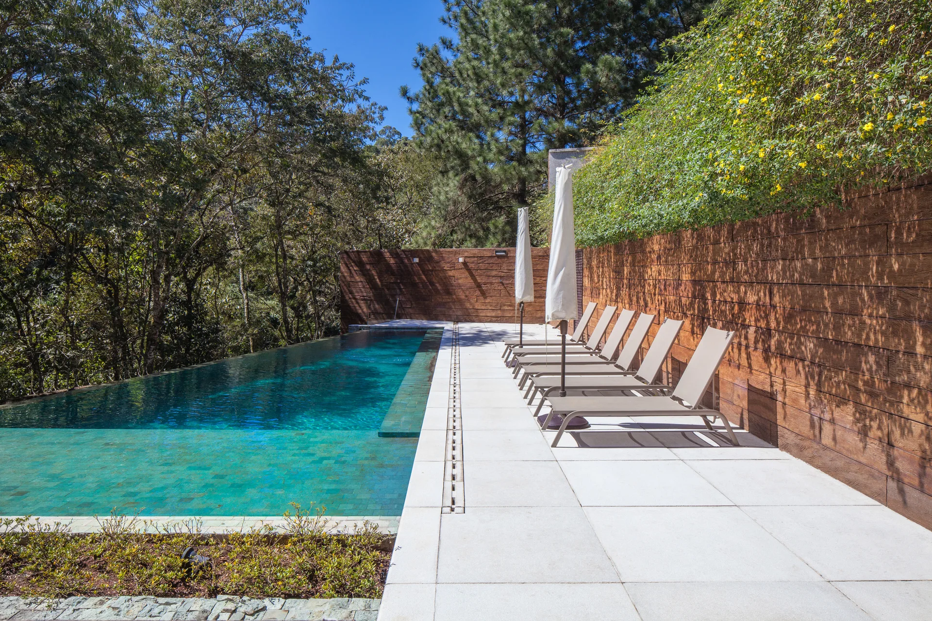 A turquoise infinity pool sits next to a light stone patio featuring a row of tan lounge chairs and a high wood plank privacy wall.