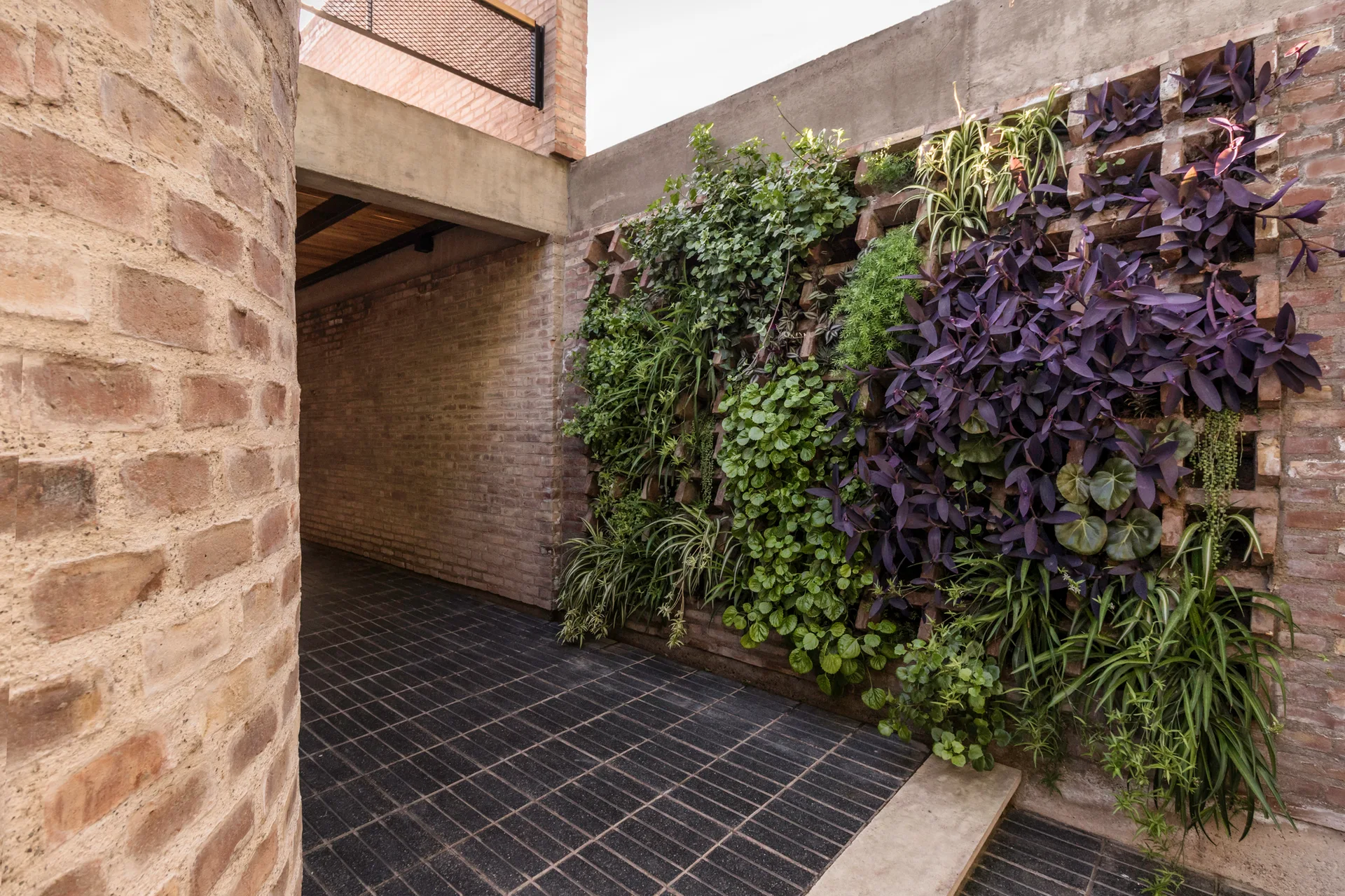 A covered brick passageway with a dark tiled floor next to a vertical garden wall featuring green and purple plants.