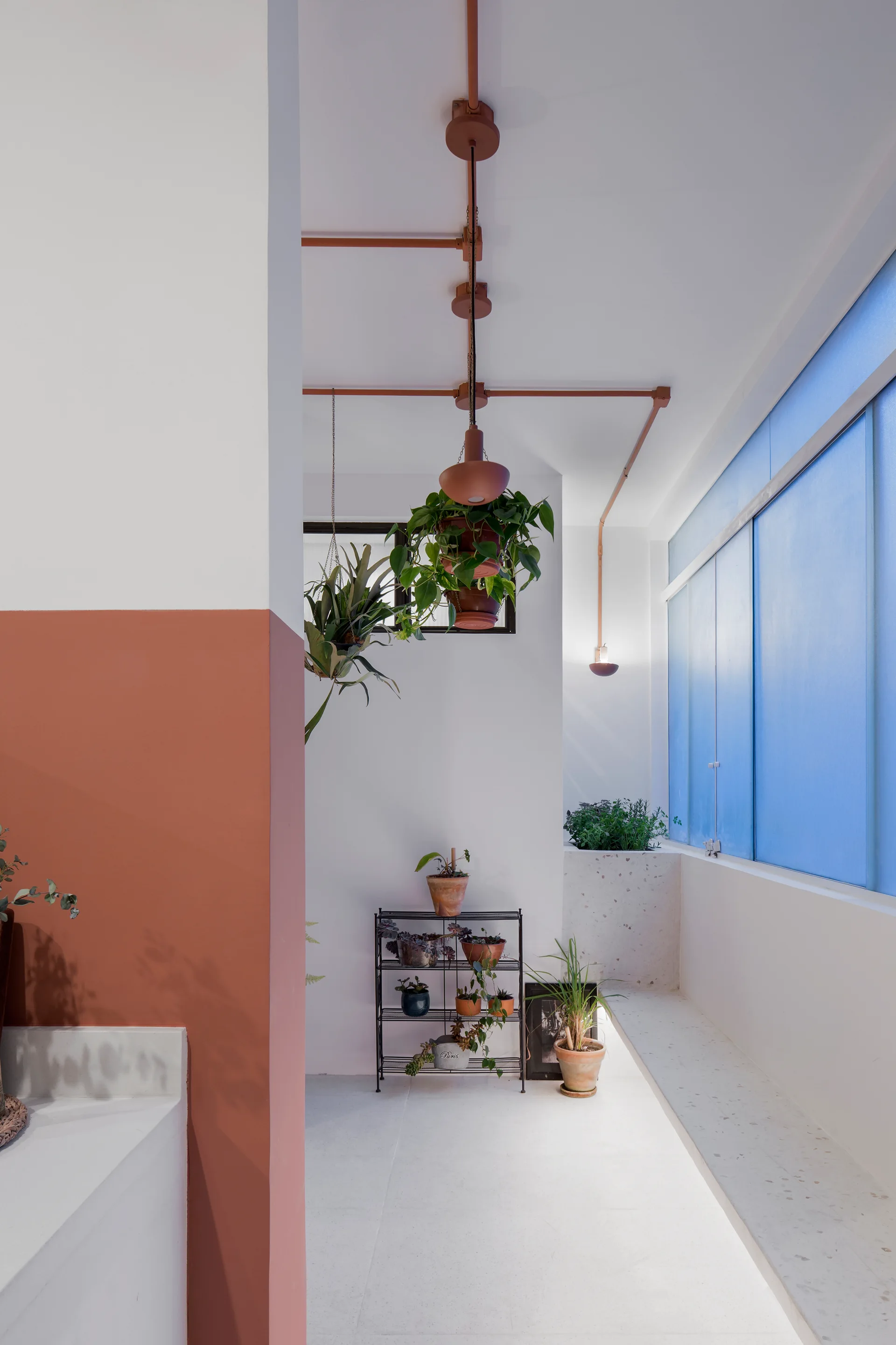 A bright white indoor corridor with a terracotta-colored accent wall, hanging plants, and exposed copper light conduits on the ceiling.