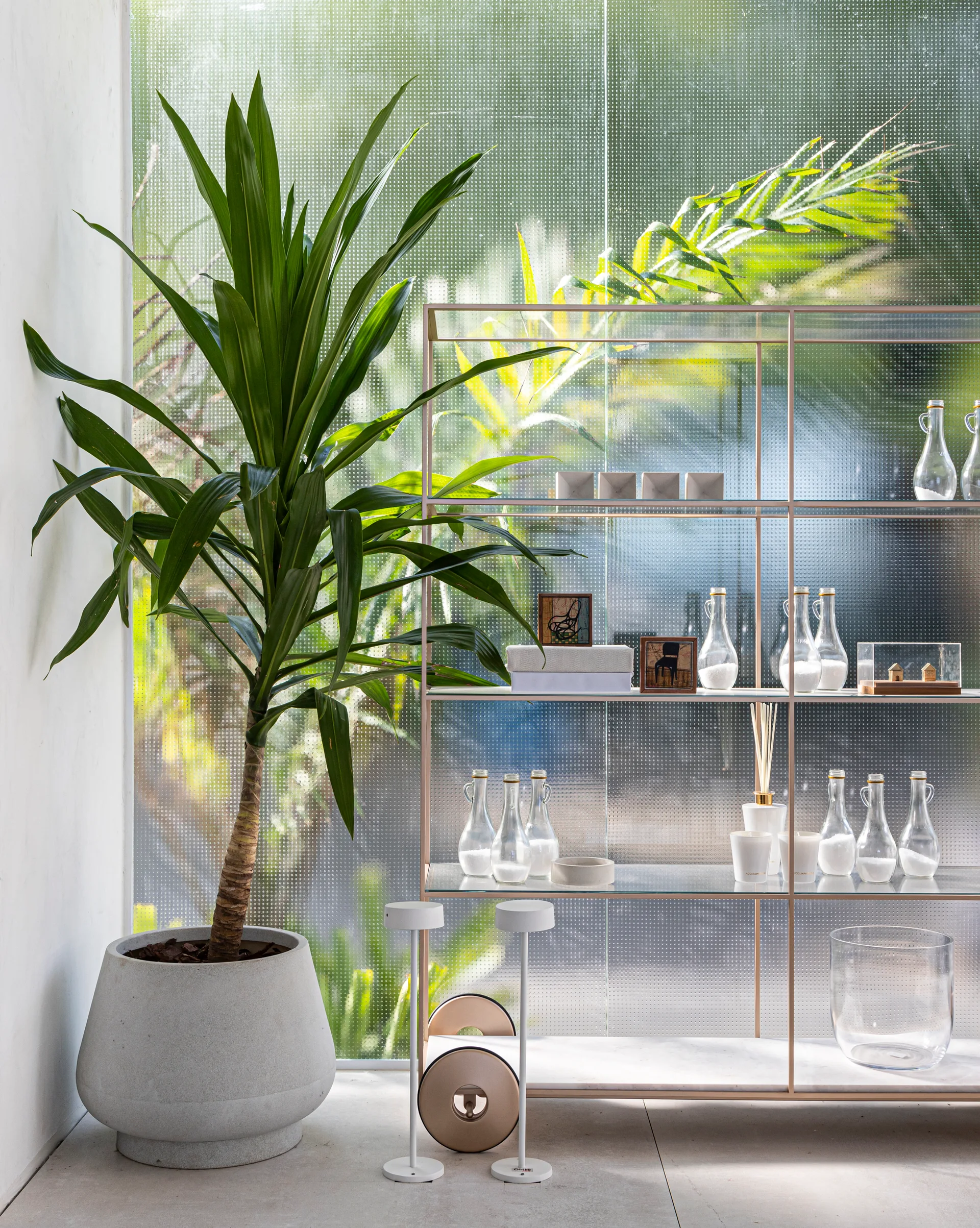 A slim bronze shelving unit displaying glass bottles stands next to a large potted yucca plant in front of a textured glass wall.