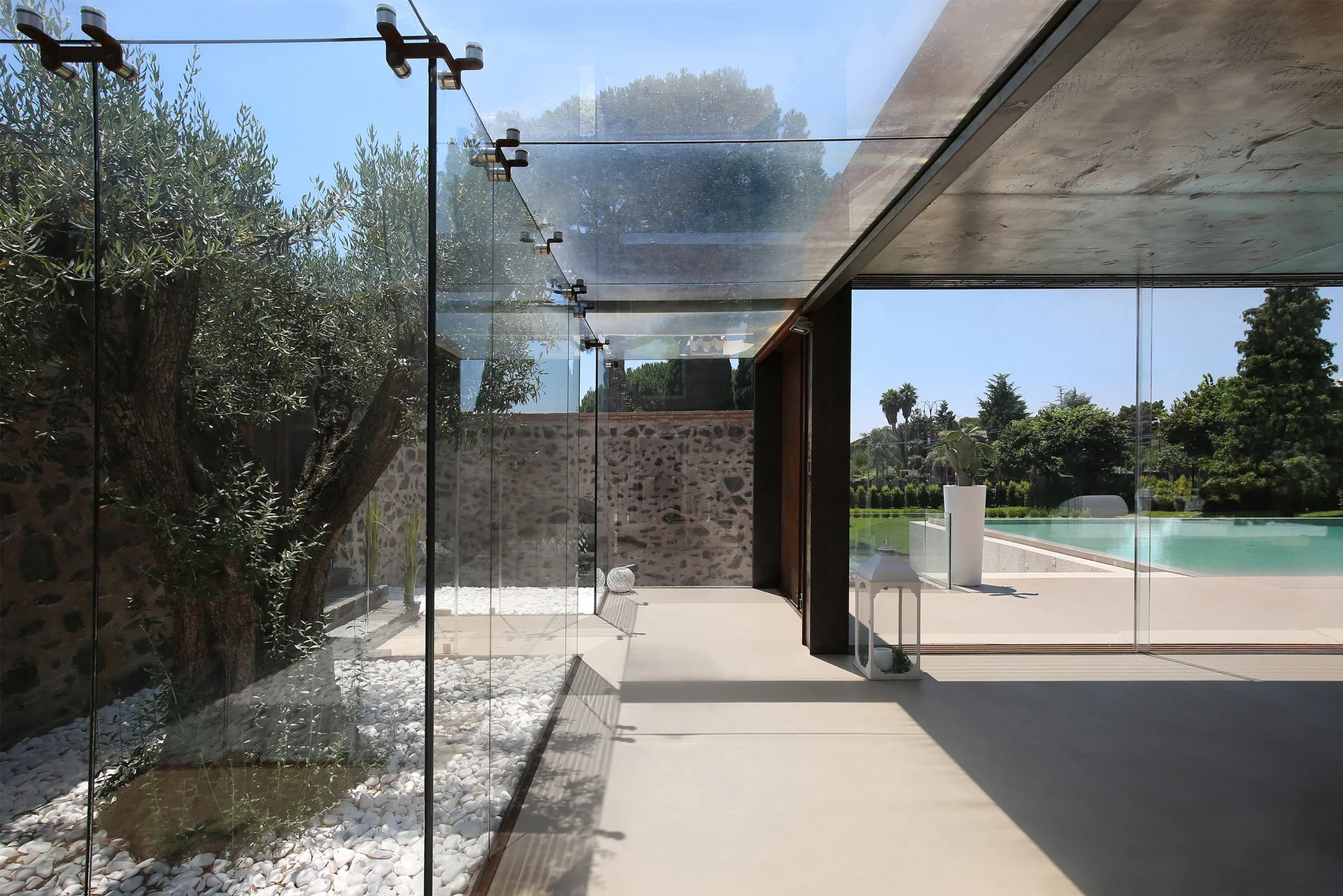 A modern minimalist patio features a frameless glass wall and ceiling enclosure over an olive tree with white pebbles, alongside a swimming pool.
