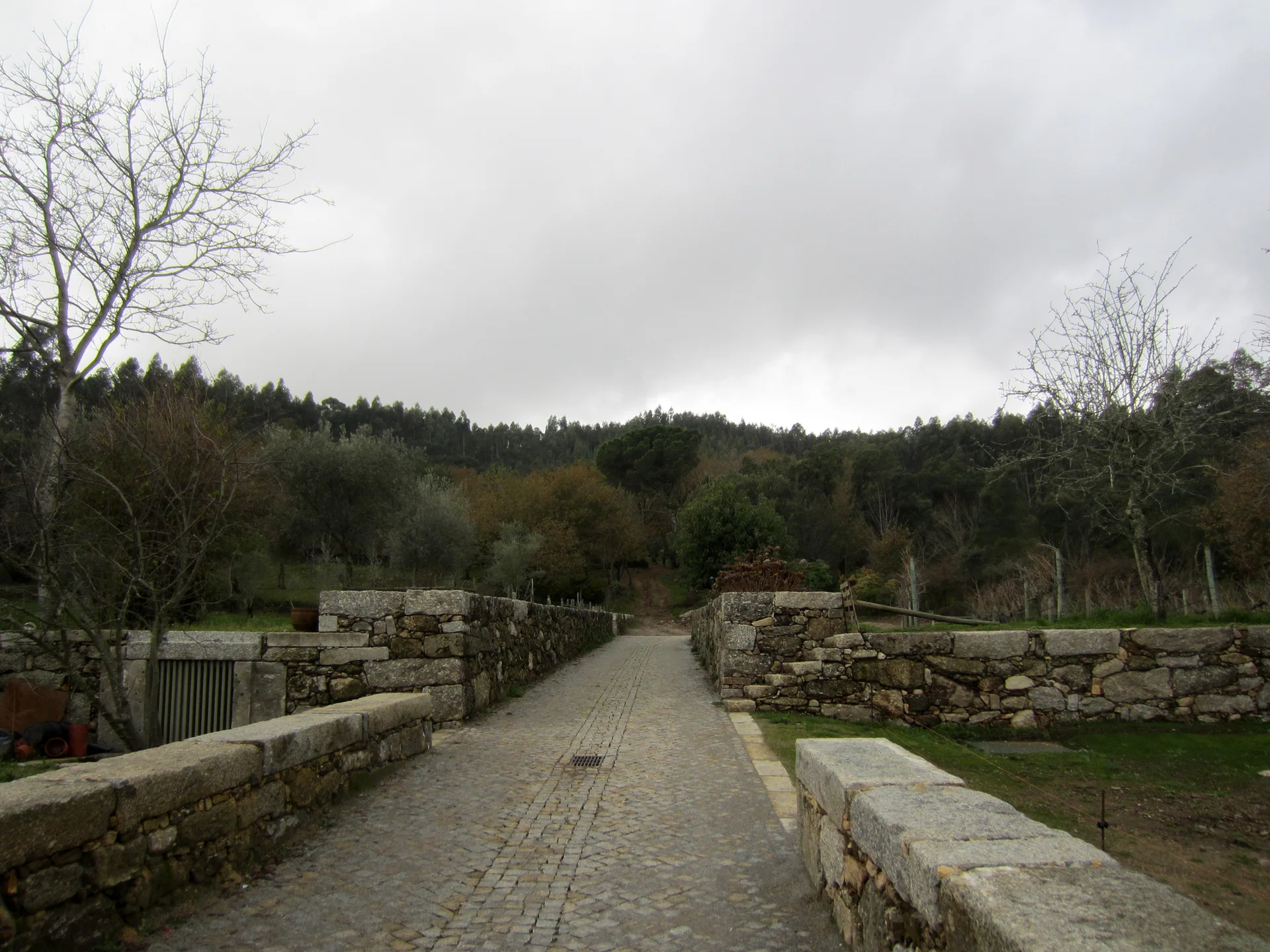 A grey cobblestone pathway extends between low stone masonry walls towards a forest of green trees under an overcast sky.