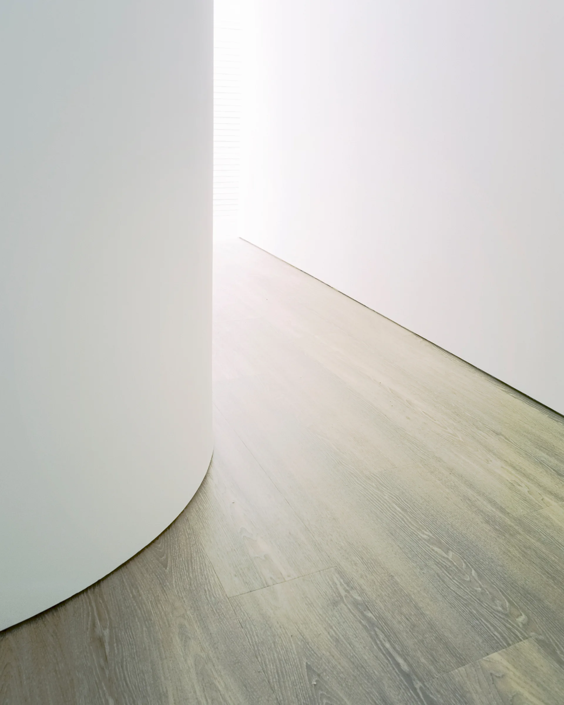 A minimalist hallway features a prominent curved matte white wall on the left and light wood plank flooring leading toward a bright source of natural light.