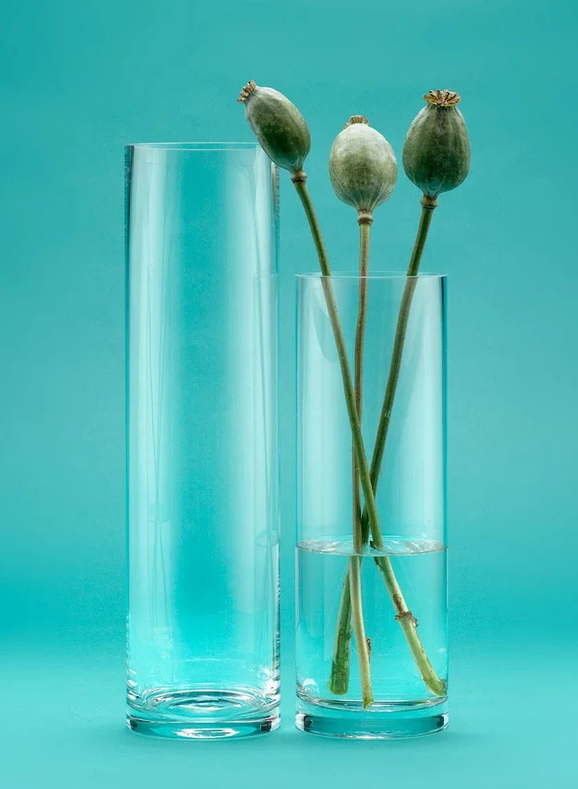Minimalist Glass Cylinder Vase