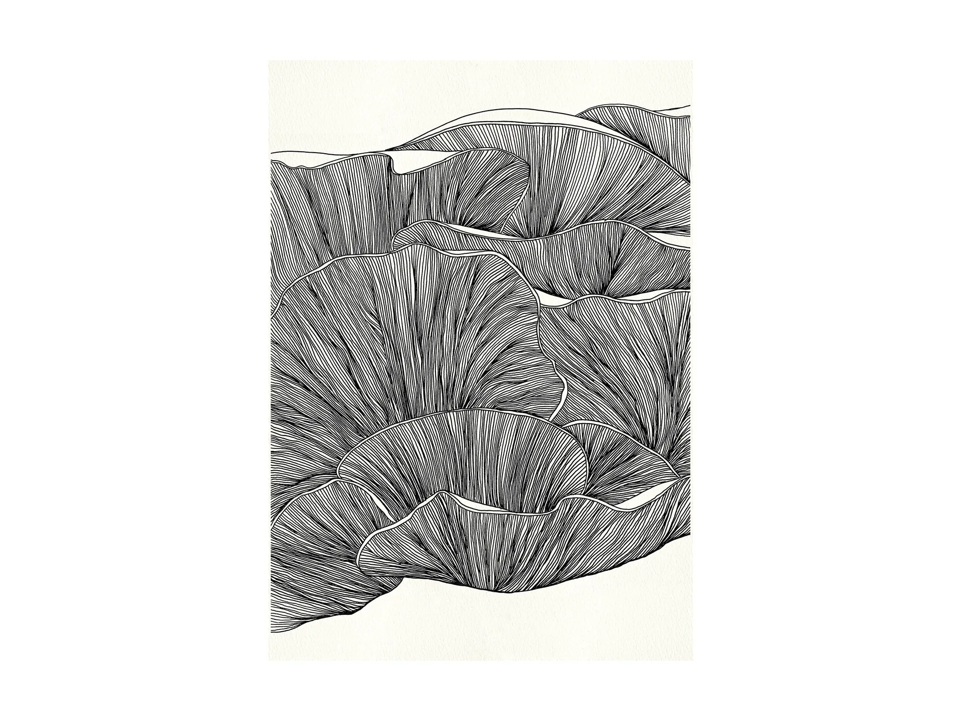 Minimalist Botanical Framed Wall Art