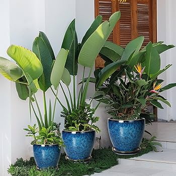 Glazed Oval Planter