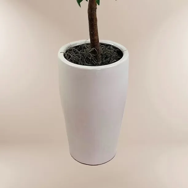 White Ceramic Tall Planter