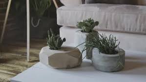 Geometric Concrete Planter
