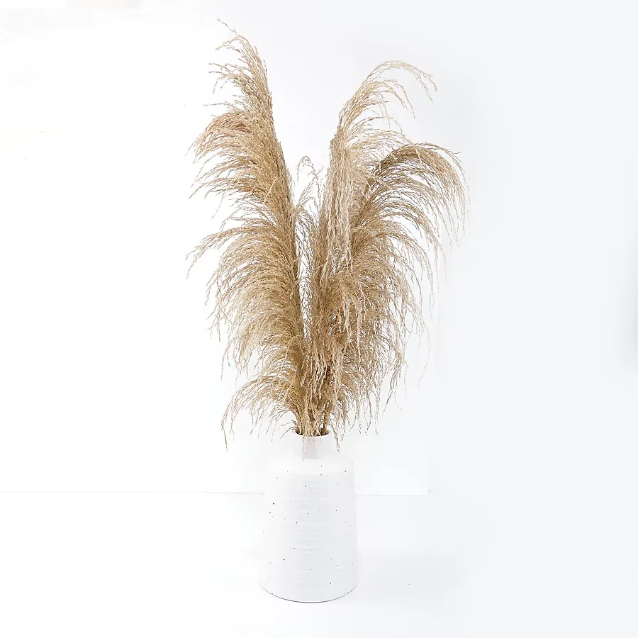 Matte White Vase With Pampas Grass