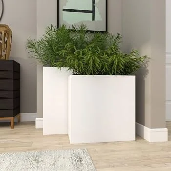 Potted Plant