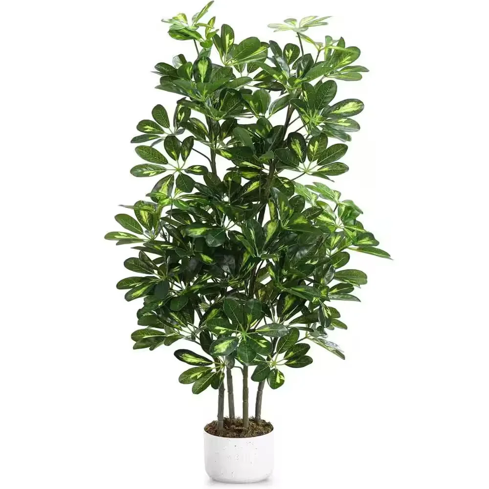 Potted Plant
