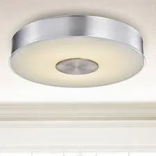 Round Brushed Aluminum Flush Mount Ceiling Light
