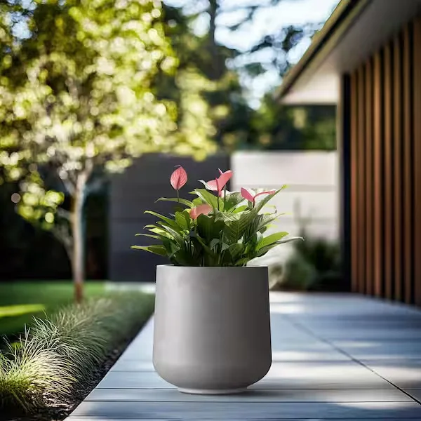 Potted Agave Planter