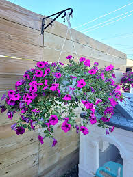 Matte Green Plastic Hanging Planter