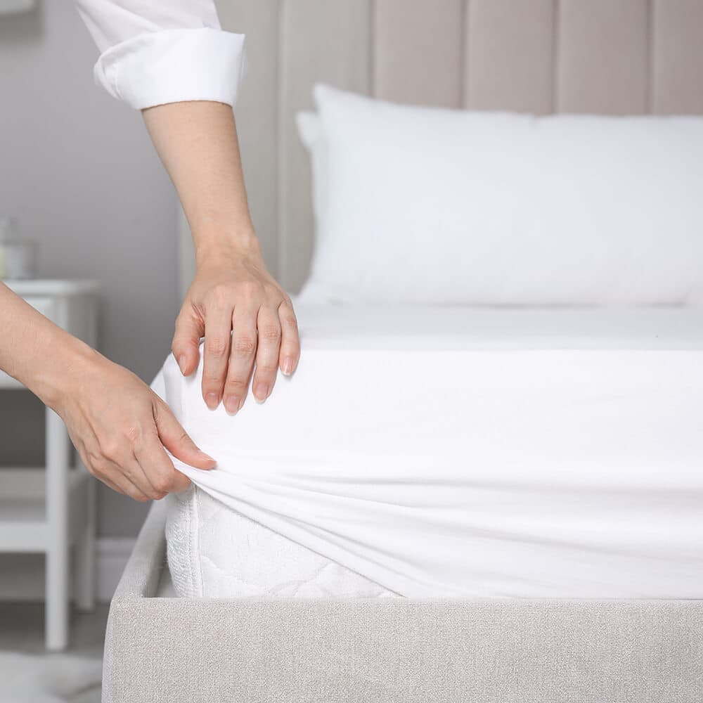 Solid White Cotton Fitted Sheet