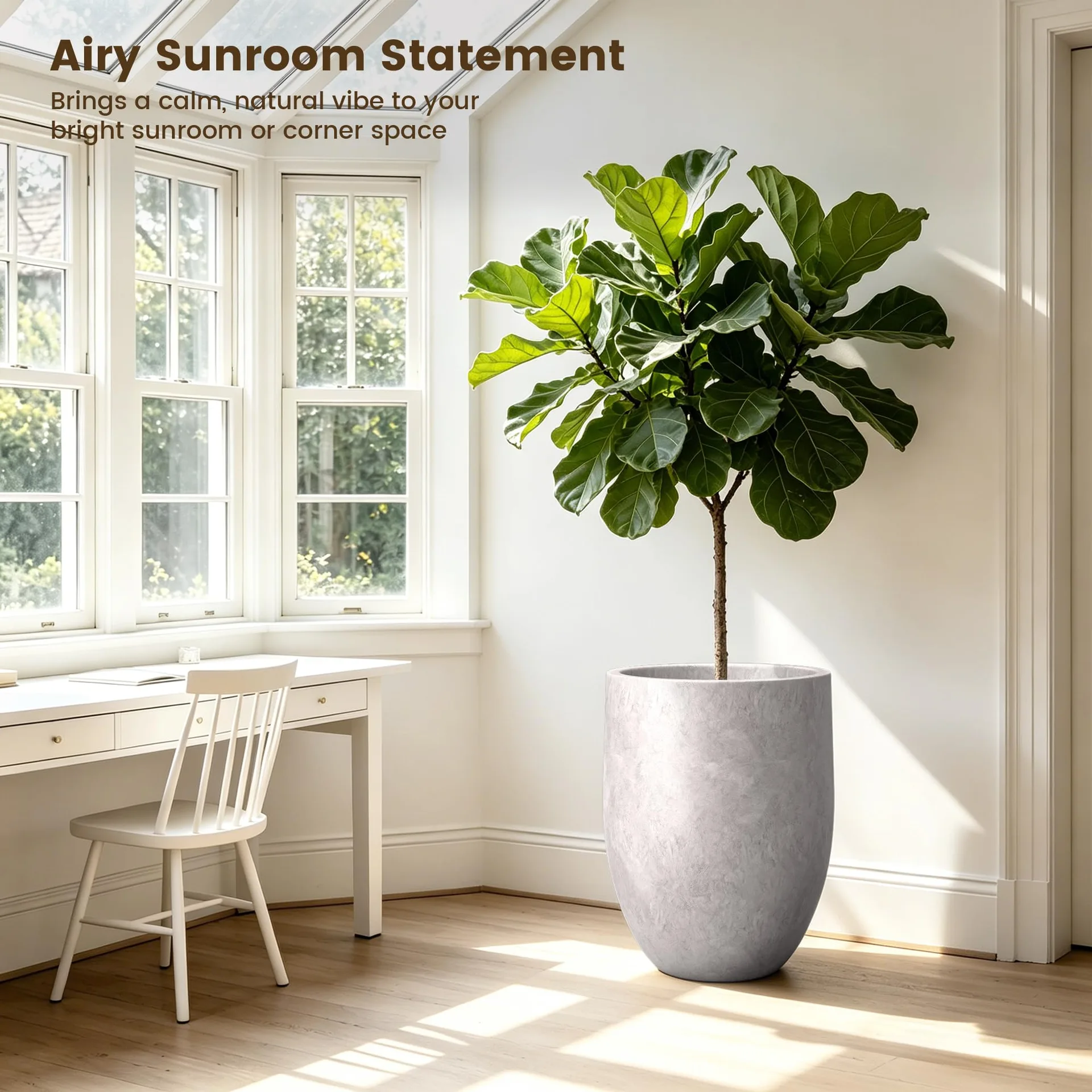 Modern Potted Fiddle Leaf Fig