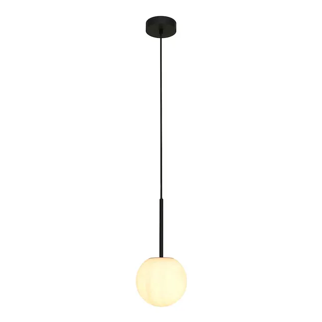 Matte Black Globe Pendant Light