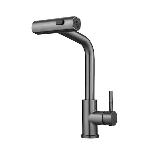 Kitchen Faucet
