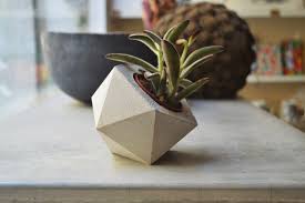 Geometric Concrete Planter