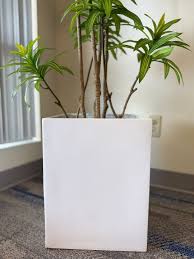 White Square Potted Plant