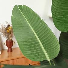 Potted Banana Plant
